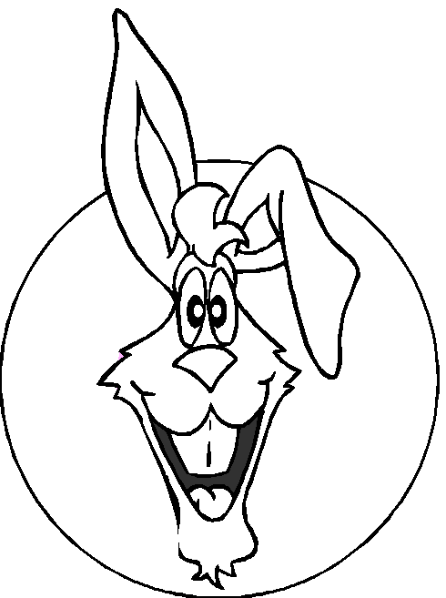 Kaninchen 2