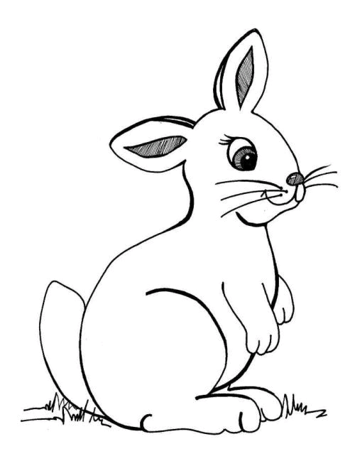 Kaninchen 4