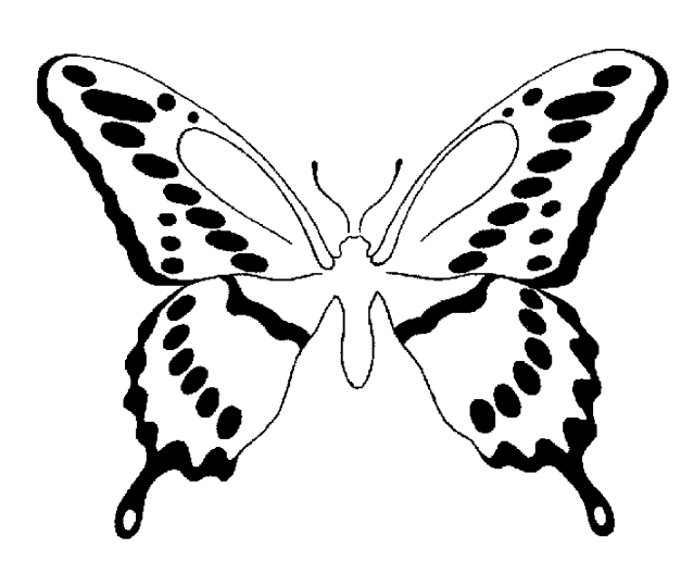 Schmetterlinge 10