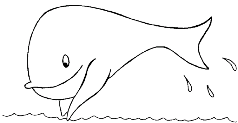 Wale 2
