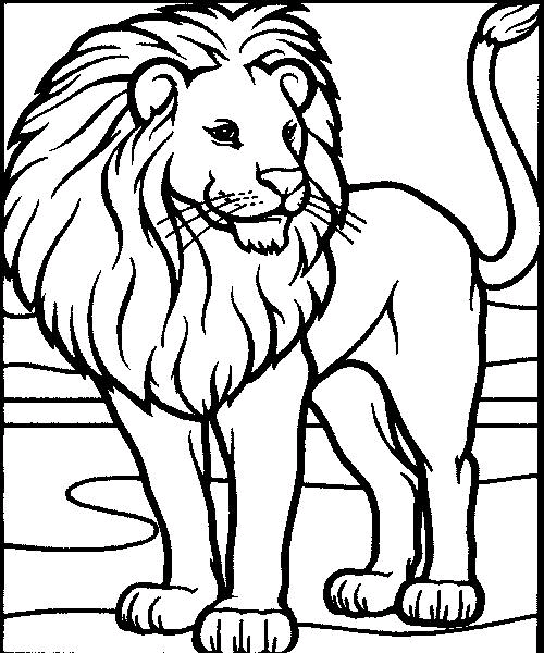 Löwen 9