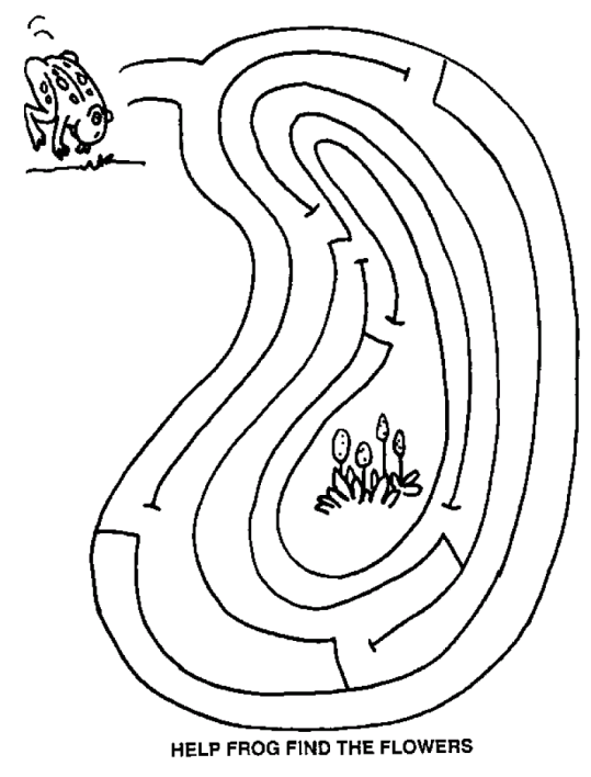 Labyrinthe 47
