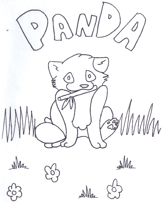 Kleiner Panda 1