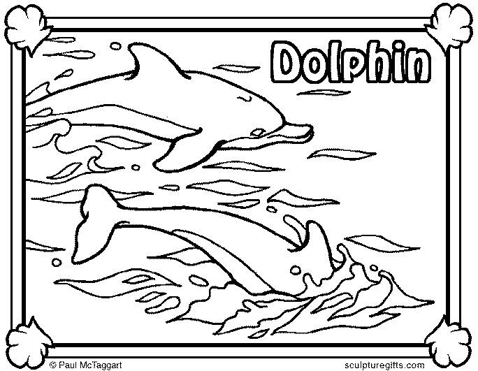 Delfine 13