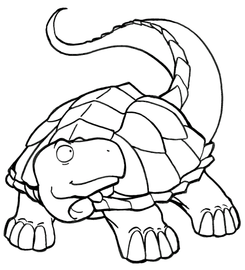 Schildkröten 5