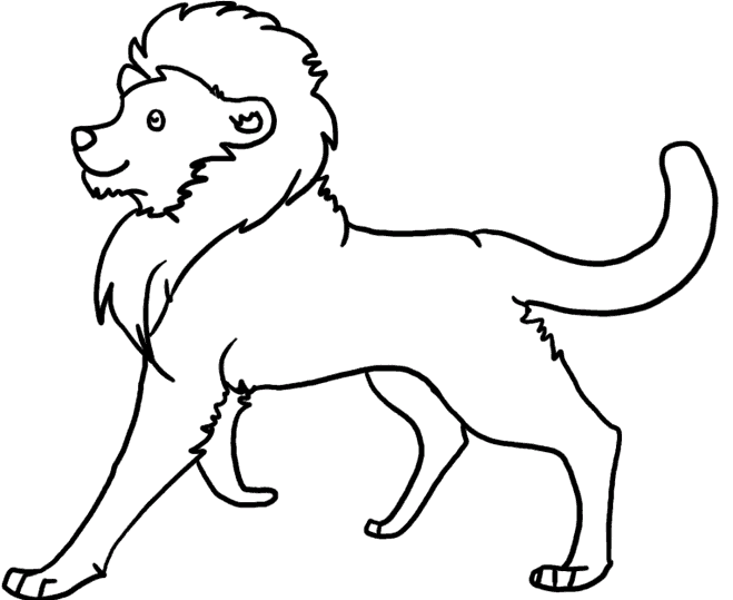 Löwen 11