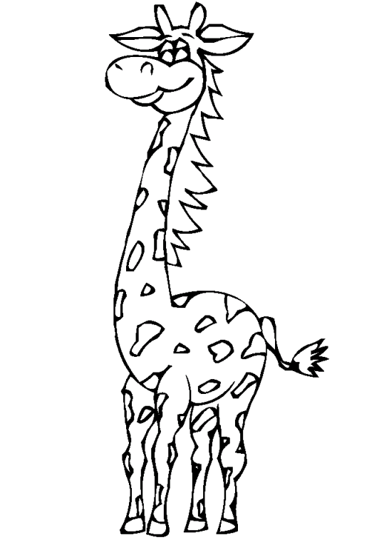 Giraffen 8