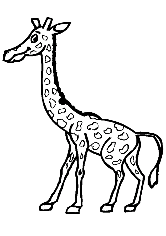 giraffe ausmalbilder malvorlagen