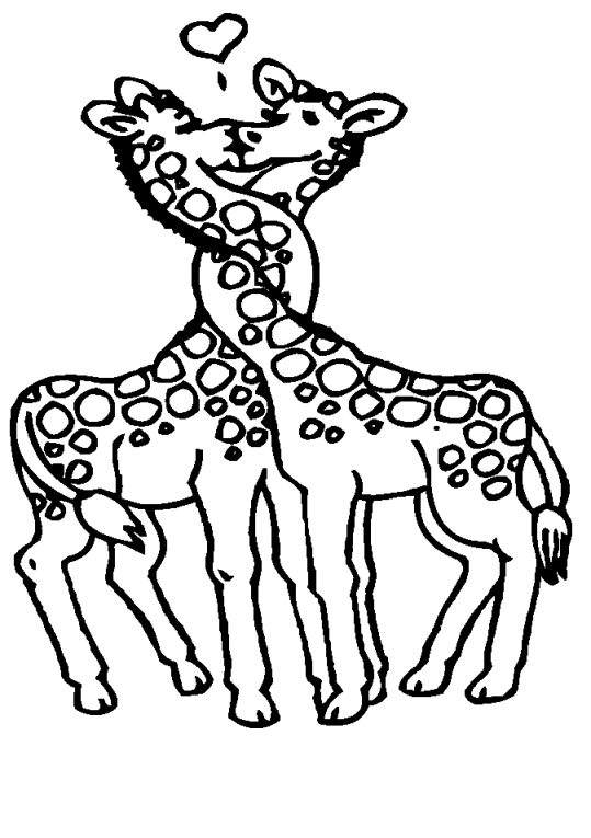 giraffe ausmalbilder malvorlagen