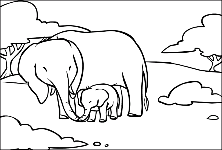 Elefanten 10