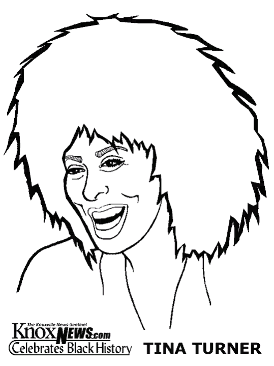 Bekannte Musiker Tina Turner