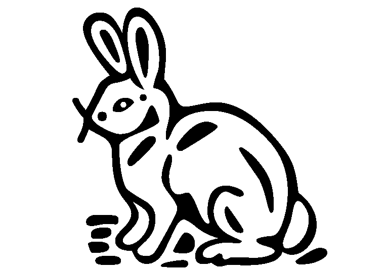 Kaninchen 9