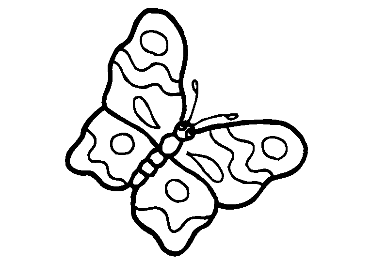Schmetterlinge 19