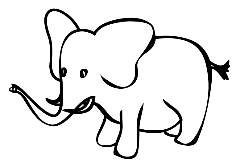 Elefanten 11