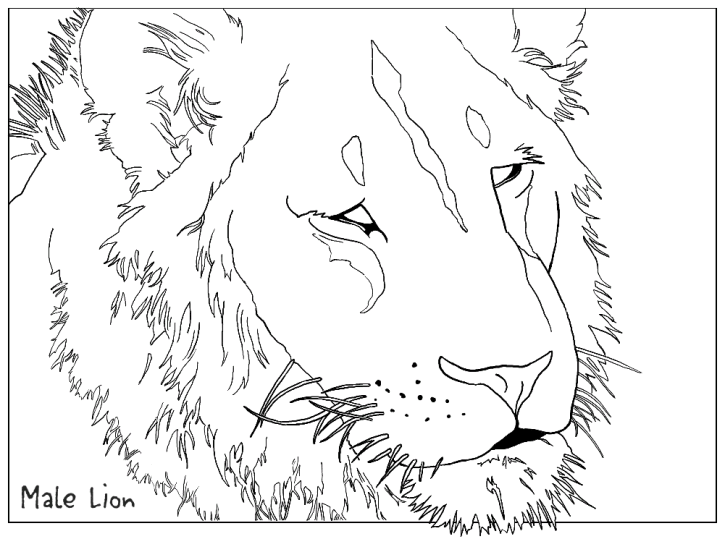 Löwen 14
