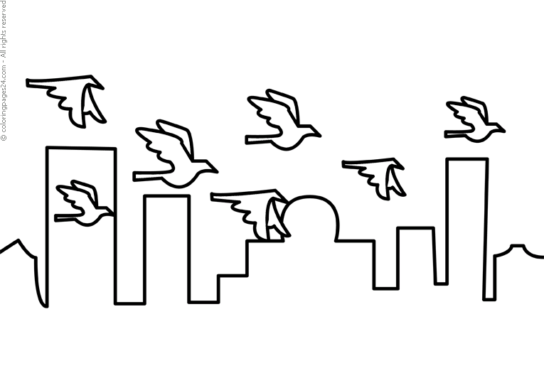 Vögel 17