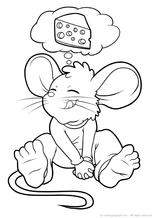 Mäuse & Ratten 12