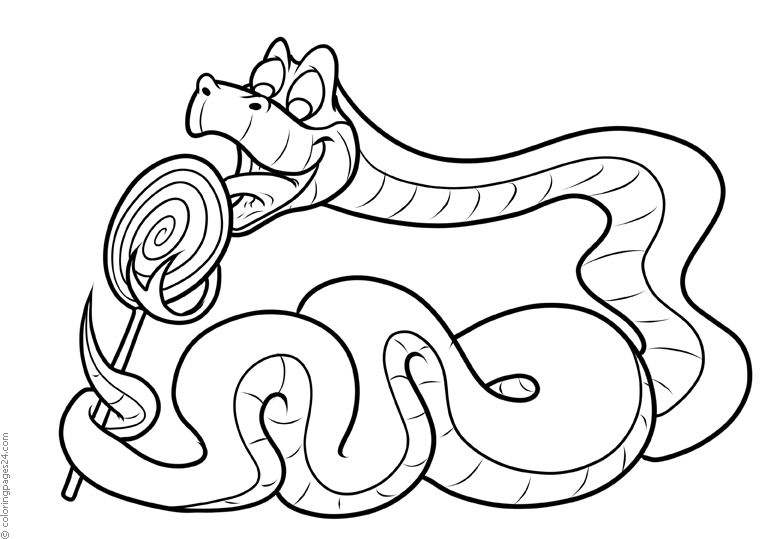 Schlangen 5