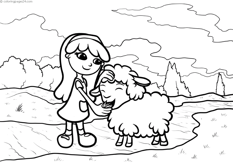 Schafe 13