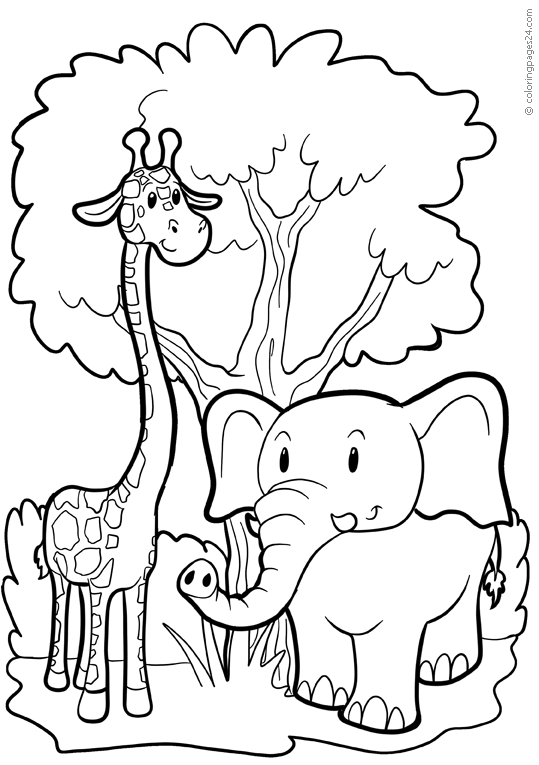 Elefanten 22