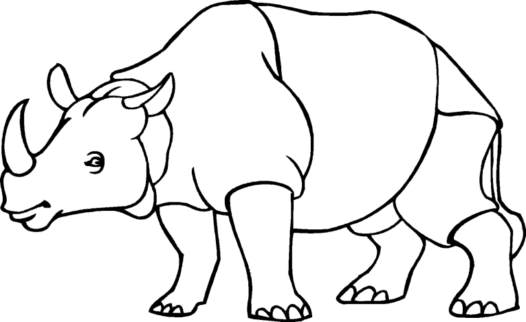 Nashörner 1