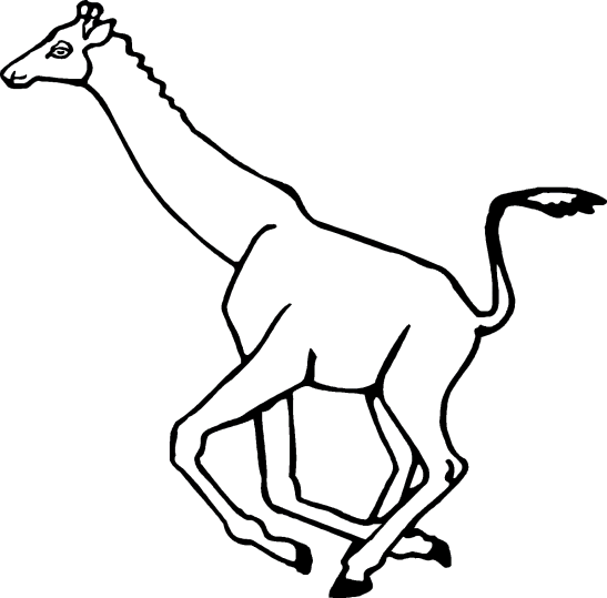 Giraffen 1