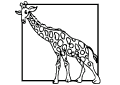 Giraffen - 7