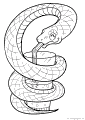 Schlangen - 3