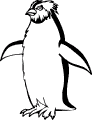 Pinguine - 1